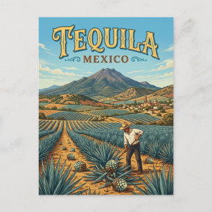 Carte Postale Téquila Mexique