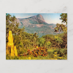 Carte Postale Termite, Sierra da Hanba, Angola