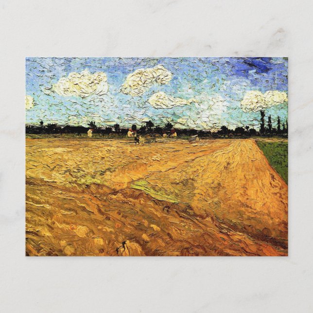 Carte Postale Terrain coulé (les Furrows) par Vincent van Gogh (Devant)