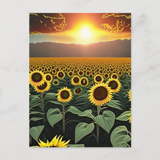Carte Postale terrain de tournesol au coucher du soleil (Devant)
