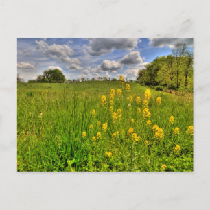 Carte Postale Terrain vert et ciel bleu nuageux