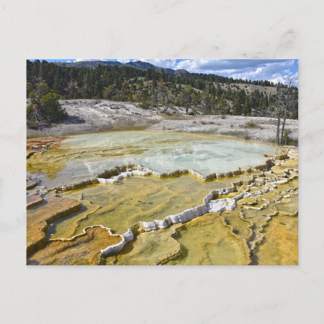 Carte Postale Terrasse de Lower Minerva, parc national de Yellow (Devant)