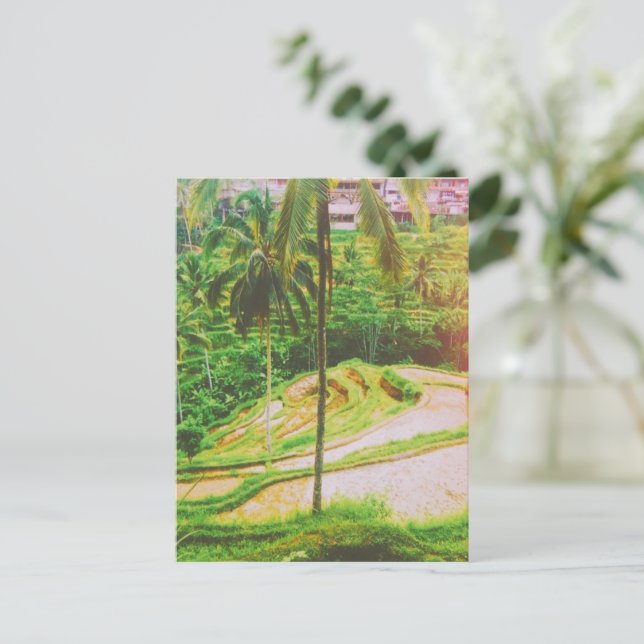 Carte Postale Terrasse de riz de Tegalang - Bali - Indonésie (Debout devant)