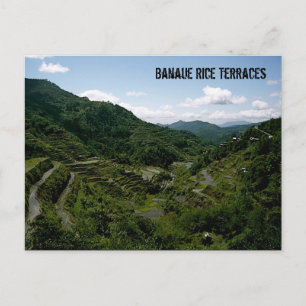 Carte Postale Terrasses Banaue Rice
