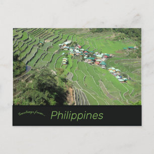 Carte Postale Terrasses De Riz Batad Près De Banaue Ifugao Phili