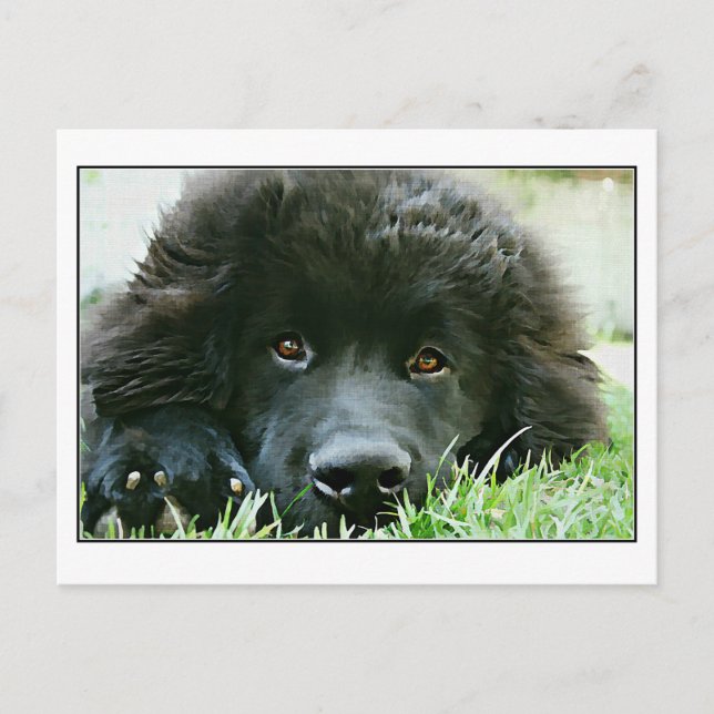 Carte Postale Terre (Devant)