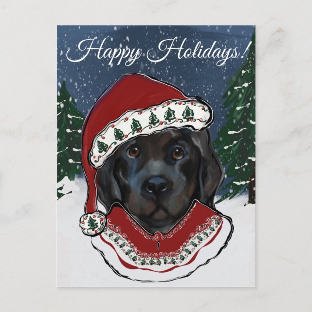 Carte Postale Terre-Neuve (Devant)