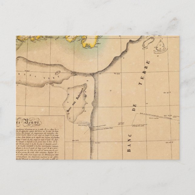 Carte Postale Terre-Neuve 45 (Devant)