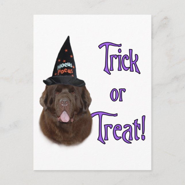 Carte Postale Terre-Neuve (brun) Trick (Devant)