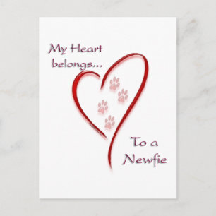 Carte Postale Terre-Neuve Coeur Appartient