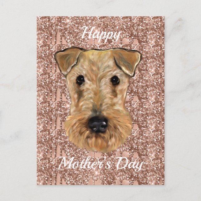 CARTE POSTALE TERRIER AIREDALE     (Devant)