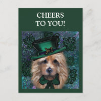 Terrier australien