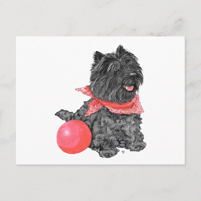 Carte Postale Terrier Black Cairn avec Balle (Devant)