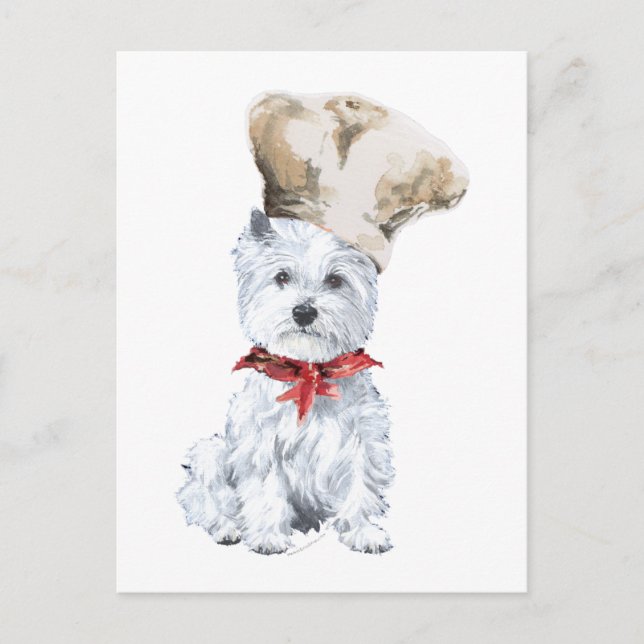 Carte Postale Terrier Blanc de West Highland Chef (Devant)