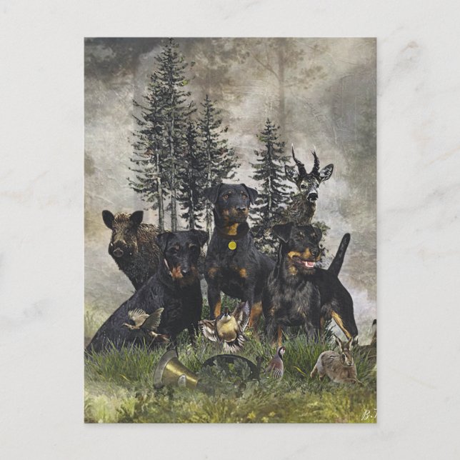 Carte Postale Terrier de chasse allemand (Jagdterrier) (Devant)