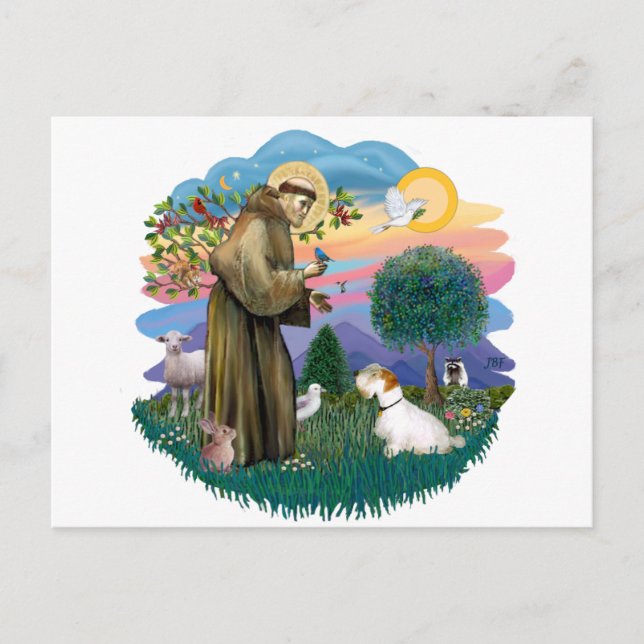 Carte Postale Terrier de Sealyham (Devant)