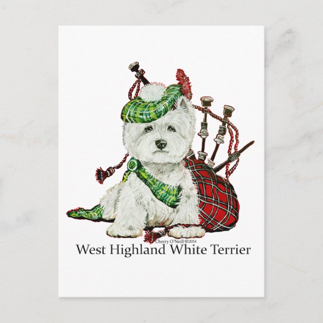 Carte Postale Terrier de West Highland (Devant)