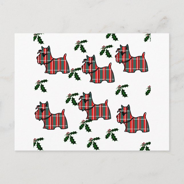 CARTE POSTALE TERRIER ÉCOSSAIS (Devant)