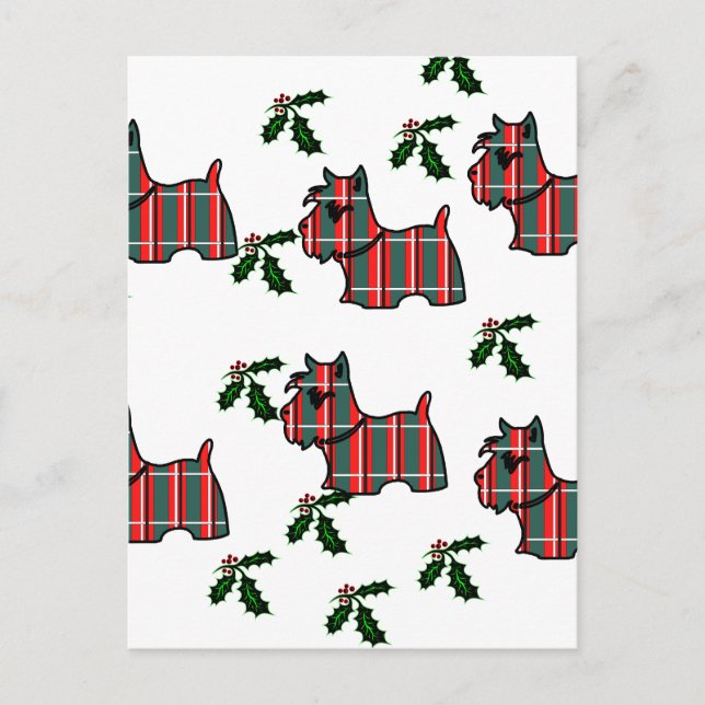 CARTE POSTALE TERRIER ÉCOSSAIS (Devant)