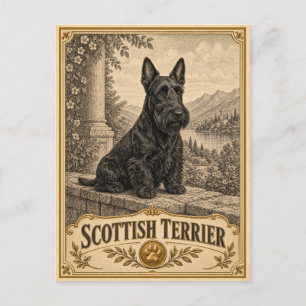Carte Postale Térrier Écossais, Chien du Patrimoine Vintage