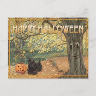 Carte Postale Terrier Écossais Halloween