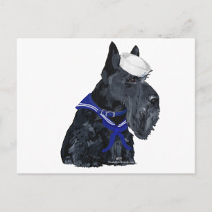 Carte Postale Terrier Écossais Marin