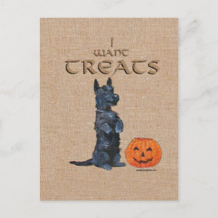 Carte Postale Térrier Écossais Se Met Debout pour des Friandises