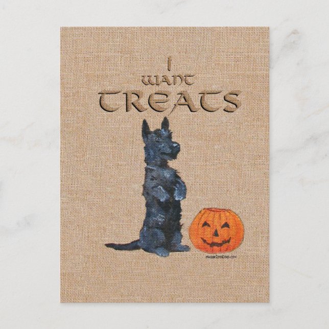 Carte Postale Térrier Écossais Se Met Debout pour des Friandises (Devant)