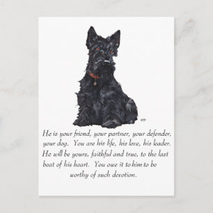 Carte Postale Térrier Écossais Souvenir - Chien MÂLE
