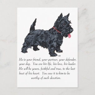 Carte Postale Térrier Écossais Souvenir - Chien MÂLE