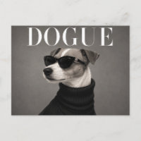 Térrier Jack Russell de luxe