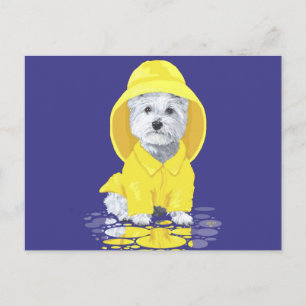 Carte Postale Terrier West Highland White Avrils Pluvieux
