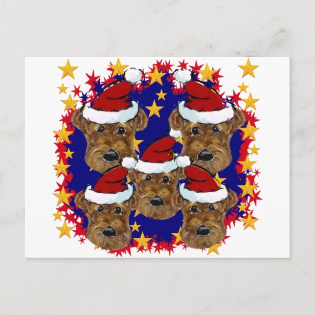 CARTE POSTALE TERRIERS AIRDALES (Devant)