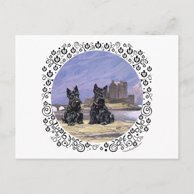 Carte Postale Terriers écossais au château d'Eilean Donan (Devant)