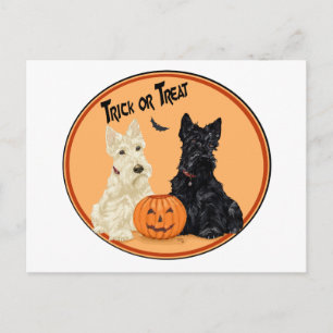 Carte Postale Térriers écossais roux et noirs Halloween