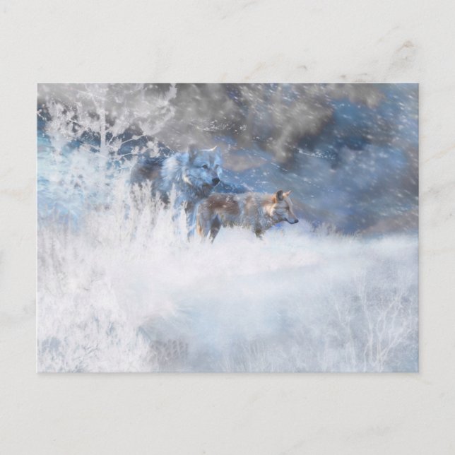 CARTE POSTALE TERRITOIRE DU LOUP HIVER (Devant)