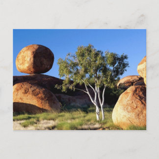 Carte Postale Territoire du Nord, Australie