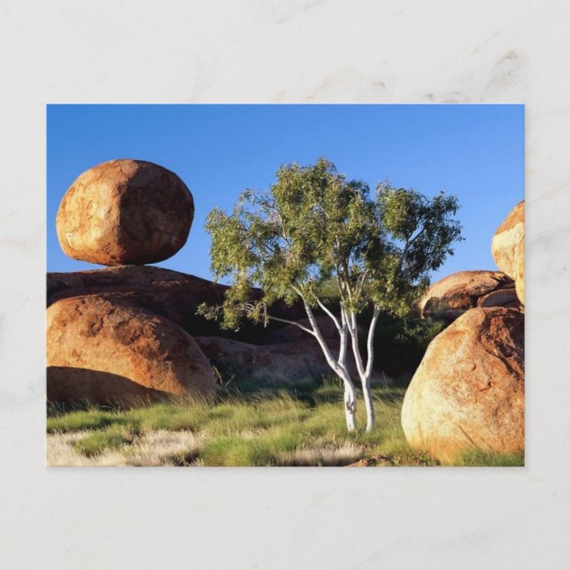 Carte Postale Territoire du Nord, Australie (Devant)
