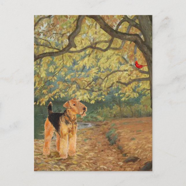 Carte Postale Tervueren Airedale en observation d'oiseaux (Devant)