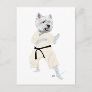 Carte Postale Tervueren Karate !
