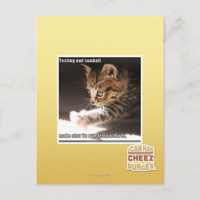 Carte Postale Test de owt sunbaff (Devant)