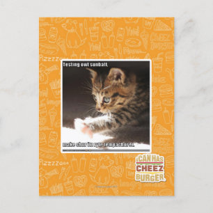 Carte Postale Test de owt sunbaff