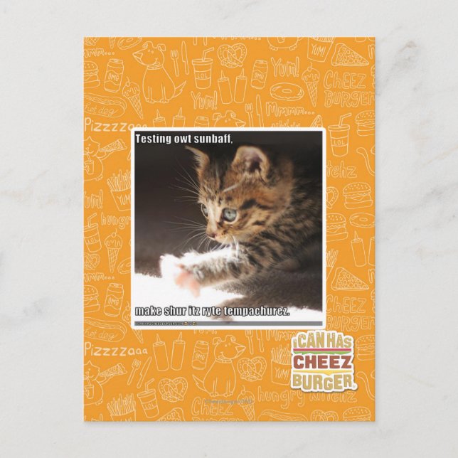 Carte Postale Test de owt sunbaff (Devant)