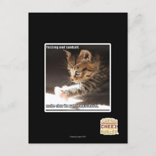 Carte Postale Test de owt sunbaff