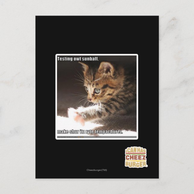 Carte Postale Test de owt sunbaff (Devant)