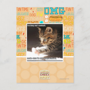 Carte Postale Test de owt sunbaff