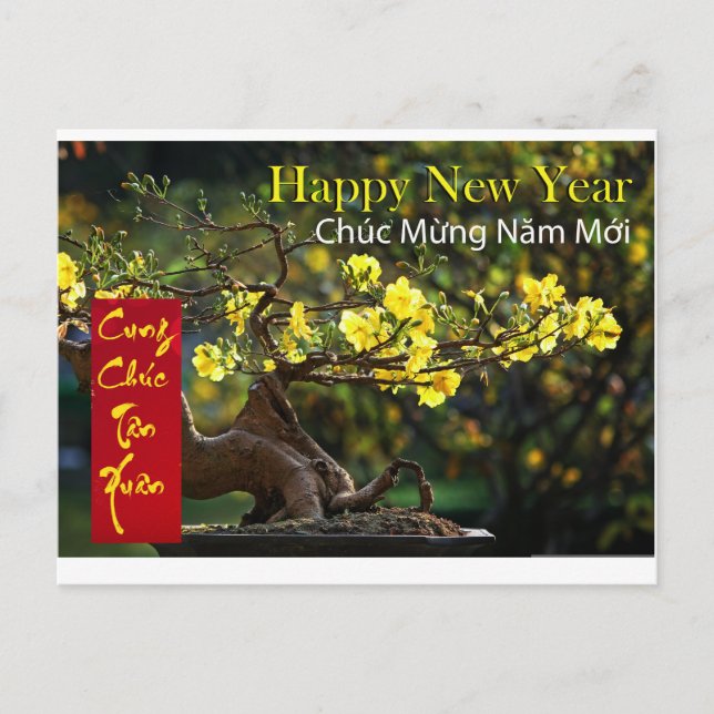Carte Postale Têt Chúc Msubstantif Năm Mớ i Joyeux Nouvel An 202 (Devant)