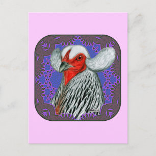 Carte Postale Tête Araucana encadrée