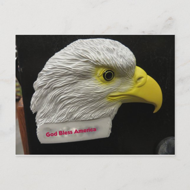 Carte Postale Tête d'aigle (Devant)