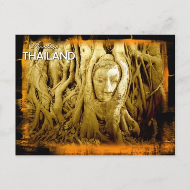 Carte Postale Tête de bouddha enchevêtrée dans les racines de fi (Devant)